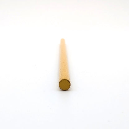 Pole - Fisher Price